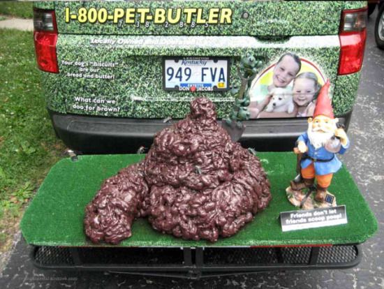 Hilarious pet ads (10 photos)