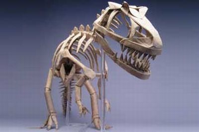 Cool origami models (10 photos)