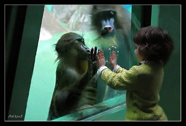 Positive emotion of the day. Cute kids (31 photos)