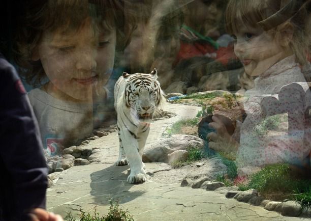 Positive emotion of the day. Cute kids (31 photos)