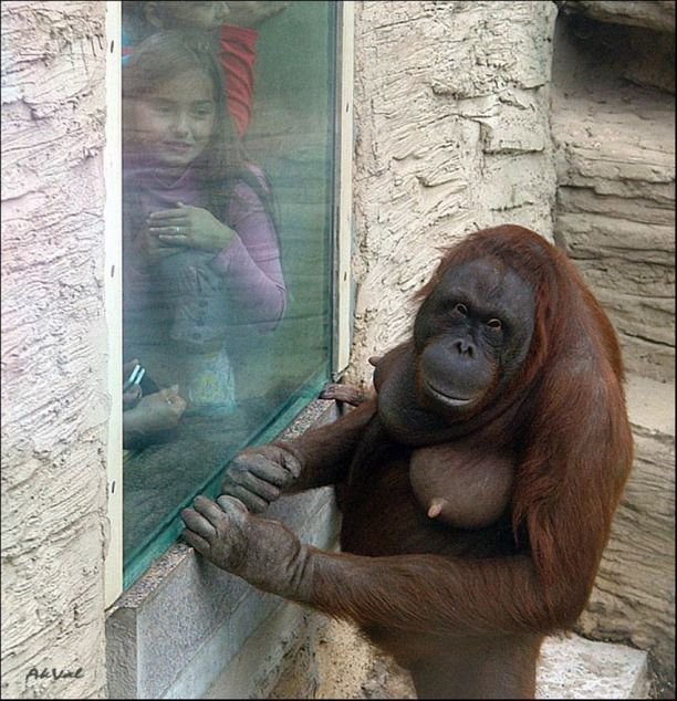Positive emotion of the day. Cute kids (31 photos)