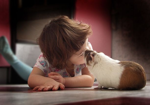 Positive emotion of the day. Cute kids (31 photos)