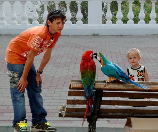 Positive emotion of the day. Cute kids (31 photos)