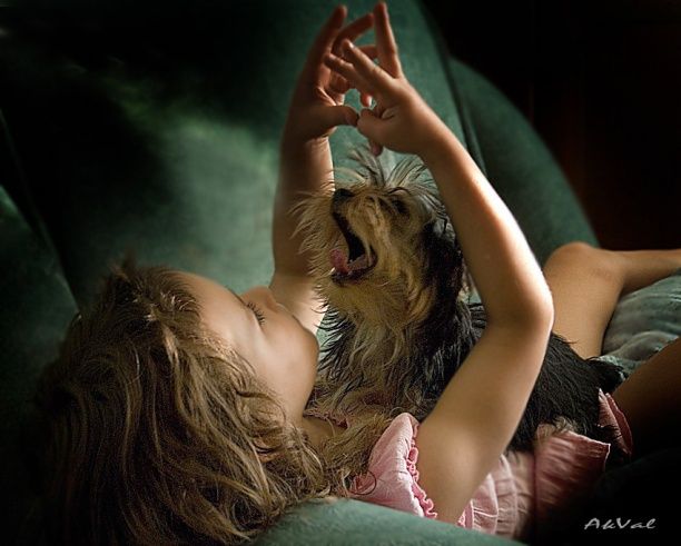 Positive emotion of the day. Cute kids (31 photos)