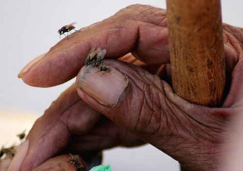 Fingers and hands (27 photos)