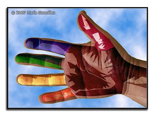 Fingers and hands (27 photos)