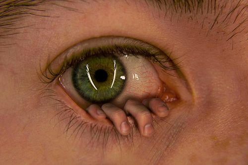 Fingers and hands (27 photos)