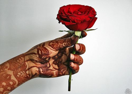 Fingers and hands (27 photos)