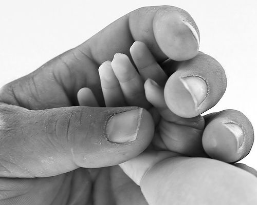 Fingers and hands (27 photos)