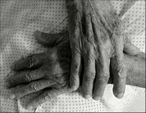 Fingers and hands (27 photos)