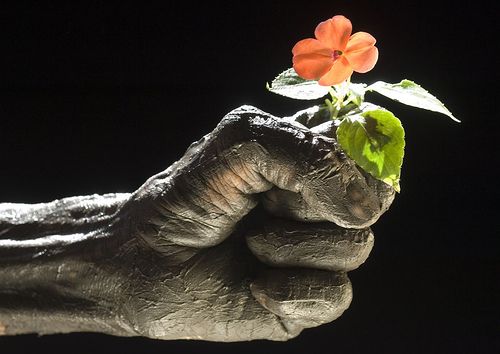 Fingers and hands (27 photos)