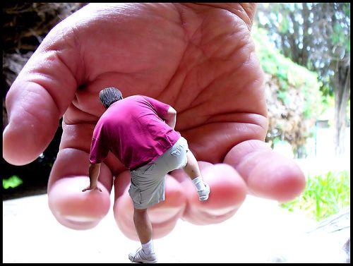 Fingers and hands (27 photos)