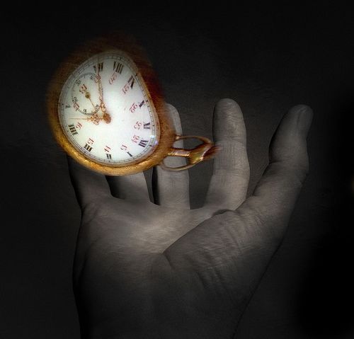 Fingers and hands (27 photos)