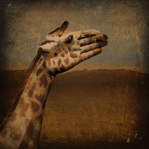 Fingers and hands (27 photos)