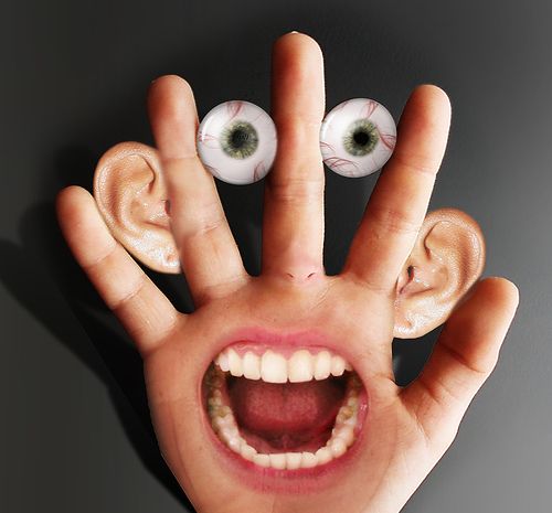 Fingers and hands (27 photos)
