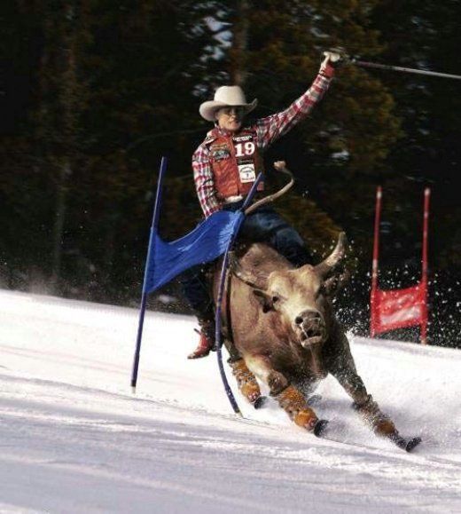 Sports in Photoshop (15 photos)