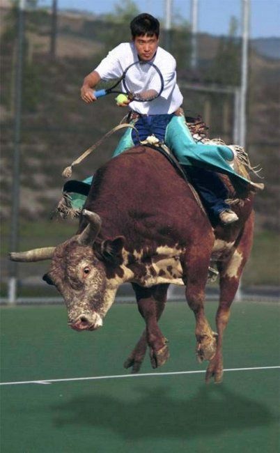 Sports in Photoshop (15 photos)