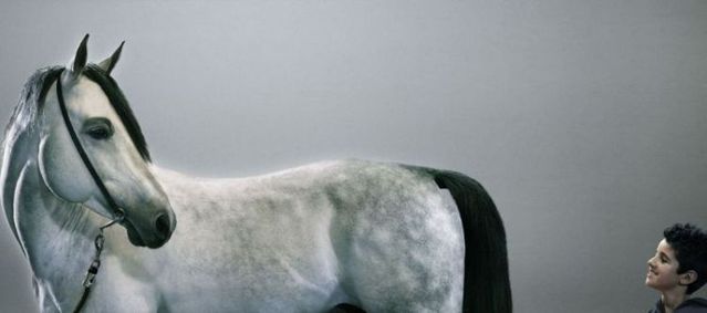 Creative works from Rotfilter (45 photos)