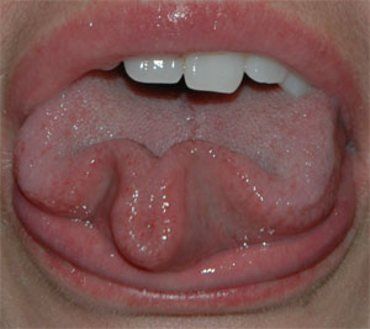 Show your tongue. Excellent photo series (40 photos)
