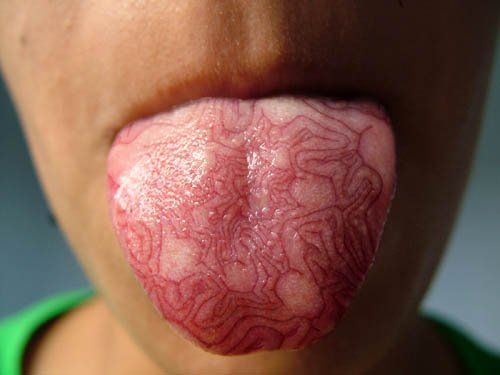 Show your tongue. Excellent photo series (40 photos)