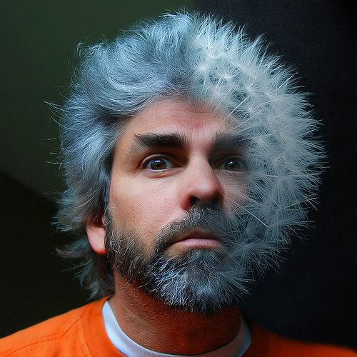 The world’s worst haircuts (20 photos)