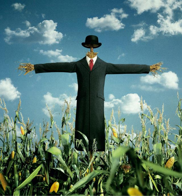 Another portion of creative ads (50 photos)