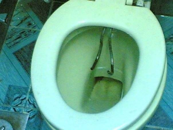 Some weird things from around the world (14 photos)