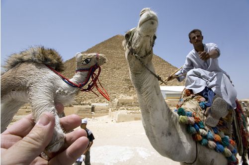 Pictures taken from the right angle (21 photos)
