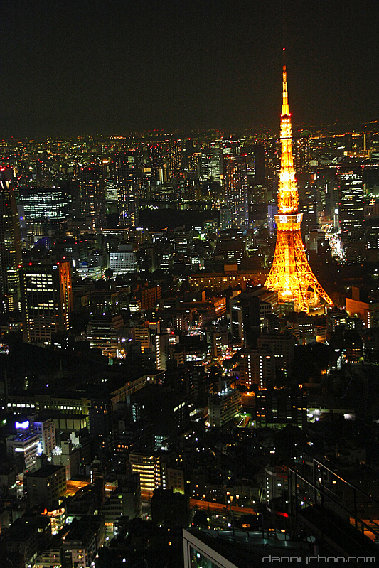 Tokyo by night (23 photos)