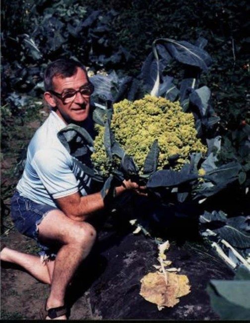 Huge vegetables (13 photos)