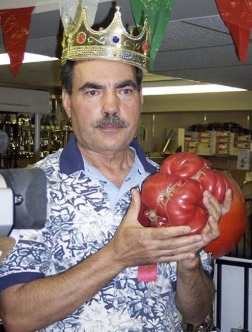 Huge vegetables (13 photos)