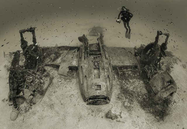 Scuba Diving (21 photos)