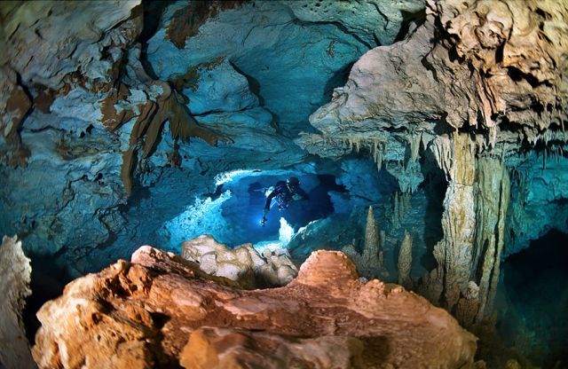 Scuba Diving (21 photos)