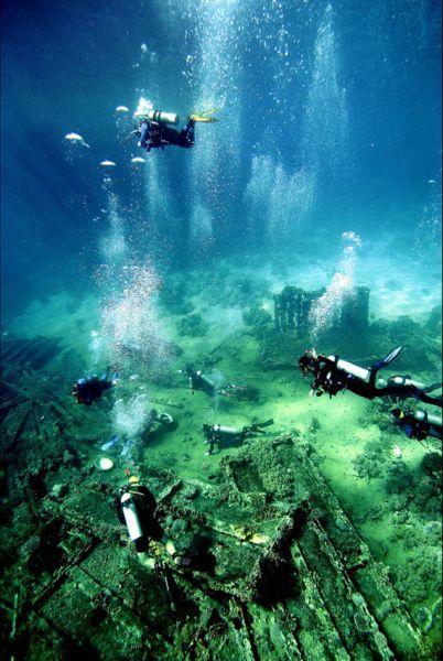 Scuba Diving (21 photos)