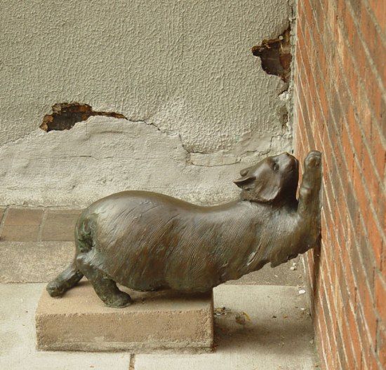 Cats monuments (41 photos)