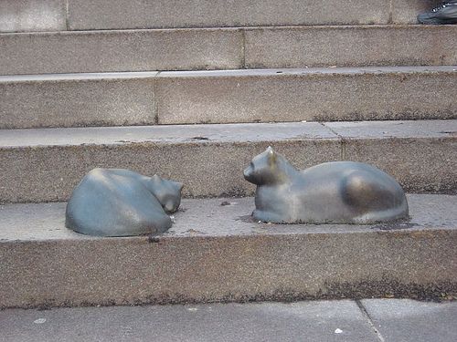 Cats monuments (41 photos)