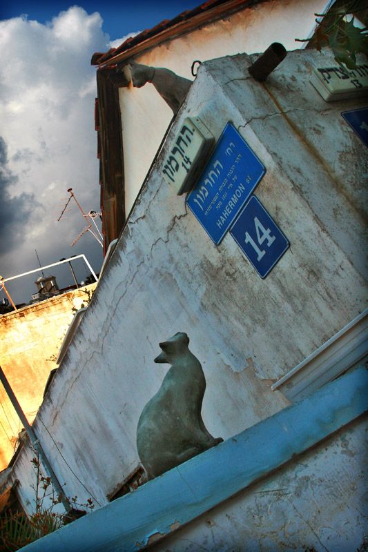 Cats monuments (41 photos)