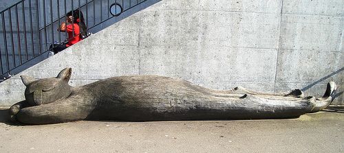 Cats monuments (41 photos)