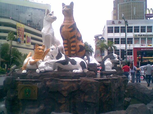 Cats monuments (41 photos)