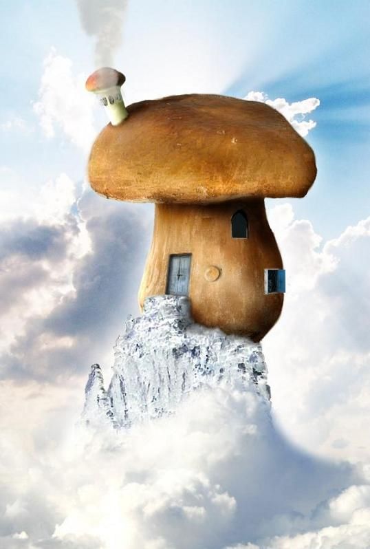 Cool homes photoshopped (19 photos)