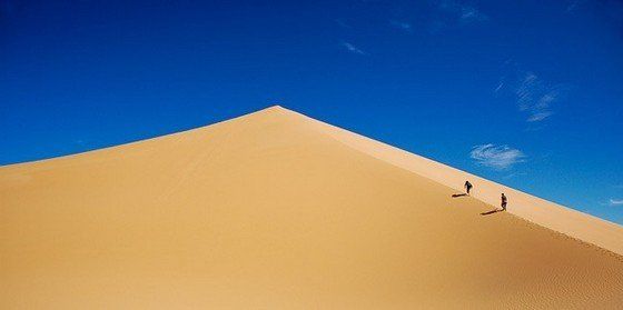 Life in the desert (50 photos)