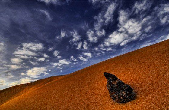 Life in the desert (50 photos)