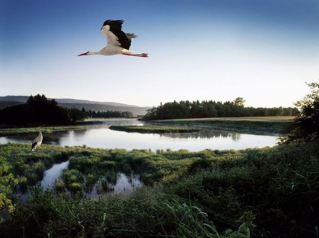 Fabulous pictures with animals from Peter Hebeisen (22 photos)