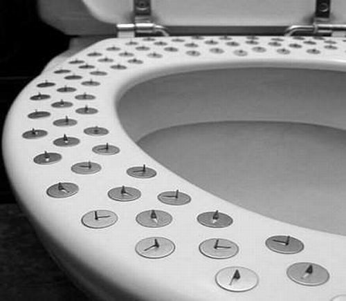 The most unusual toilets (14 photos)