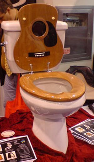 The most unusual toilets (14 photos)