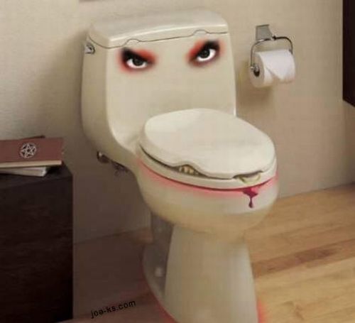 The most unusual toilets (14 photos)