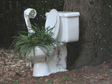 The most unusual toilets (14 photos)