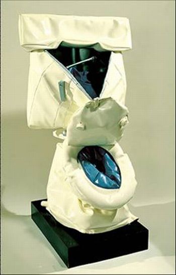 The most unusual toilets (14 photos)