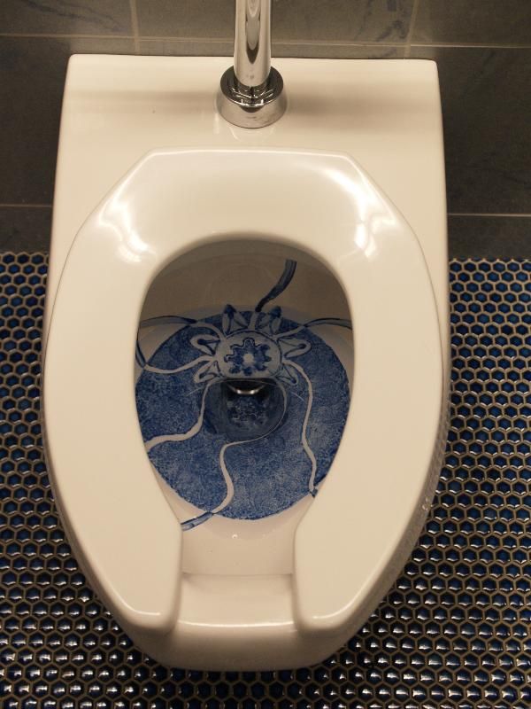 The most unusual toilets (14 photos)
