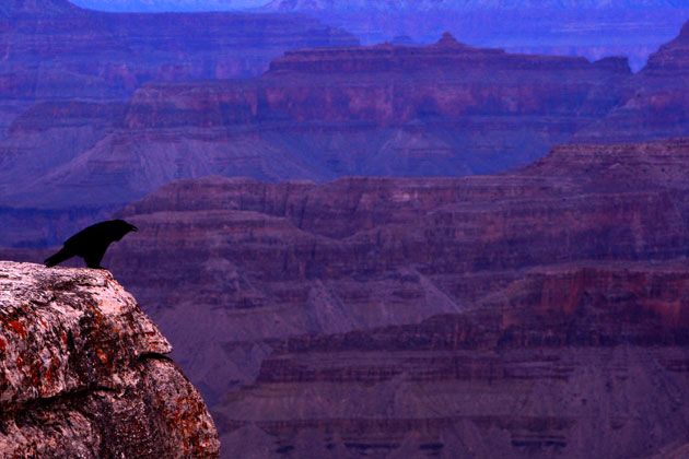 Sunrise and sunset in the Grand Canyon (11 photos)